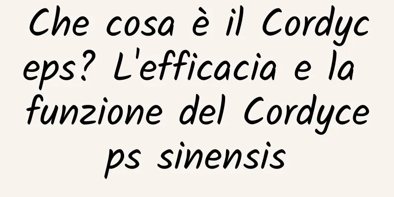 Che cosa è il Cordyceps? L'efficacia e la funzione del Cordyceps sinensis
