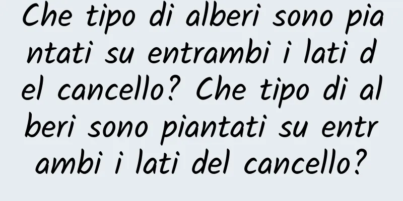 Che tipo di alberi sono piantati su entrambi i lati del cancello? Che tipo di alberi sono piantati su entrambi i lati del cancello?