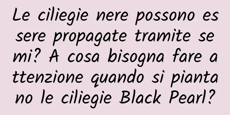 Le ciliegie nere possono essere propagate tramite semi? A cosa bisogna fare attenzione quando si piantano le ciliegie Black Pearl?