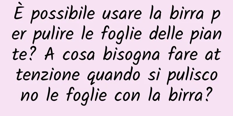 È possibile usare la birra per pulire le foglie delle piante? A cosa bisogna fare attenzione quando si puliscono le foglie con la birra?