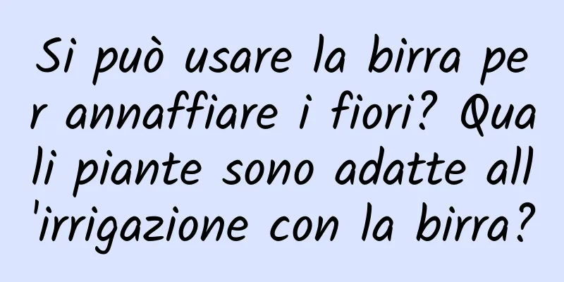 Si può usare la birra per annaffiare i fiori? Quali piante sono adatte all'irrigazione con la birra?