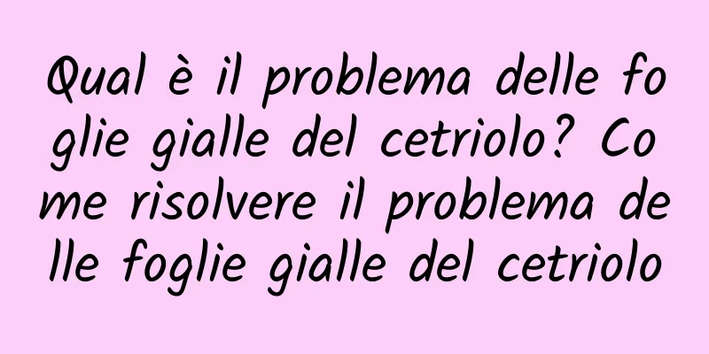 Qual è il problema delle foglie gialle del cetriolo? Come risolvere il problema delle foglie gialle del cetriolo