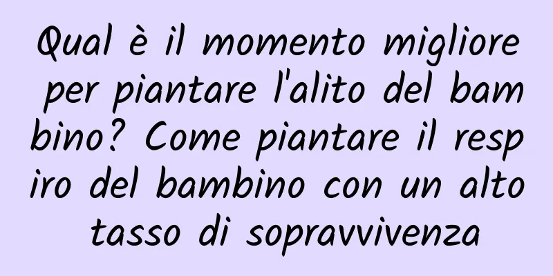 Qual è il momento migliore per piantare l'alito del bambino? Come piantare il respiro del bambino con un alto tasso di sopravvivenza