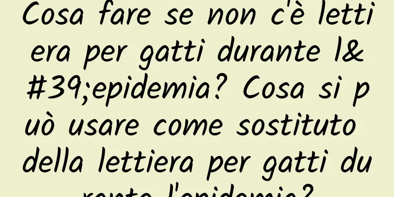 Cosa fare se non c'è lettiera per gatti durante l'epidemia? Cosa si può usare come sostituto della lettiera per gatti durante l'epidemia?