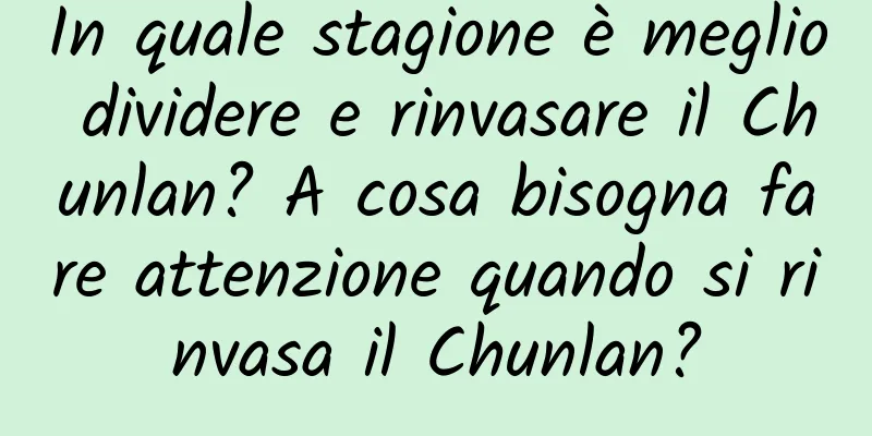 In quale stagione è meglio dividere e rinvasare il Chunlan? A cosa bisogna fare attenzione quando si rinvasa il Chunlan?
