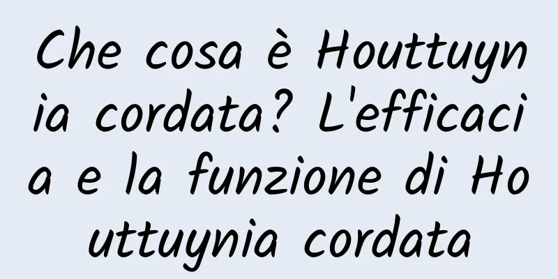 Che cosa è Houttuynia cordata? L'efficacia e la funzione di Houttuynia cordata