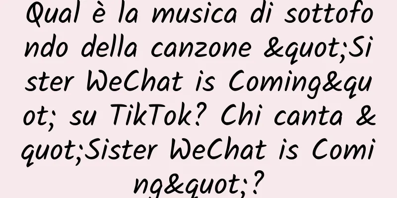 Qual è la musica di sottofondo della canzone "Sister WeChat is Coming" su TikTok? Chi canta "Sister WeChat is Coming"?