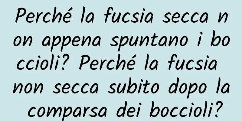 Perché la fucsia secca non appena spuntano i boccioli? Perché la fucsia non secca subito dopo la comparsa dei boccioli?