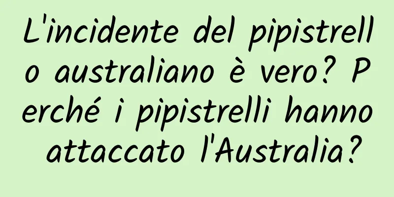 L'incidente del pipistrello australiano è vero? Perché i pipistrelli hanno attaccato l'Australia?