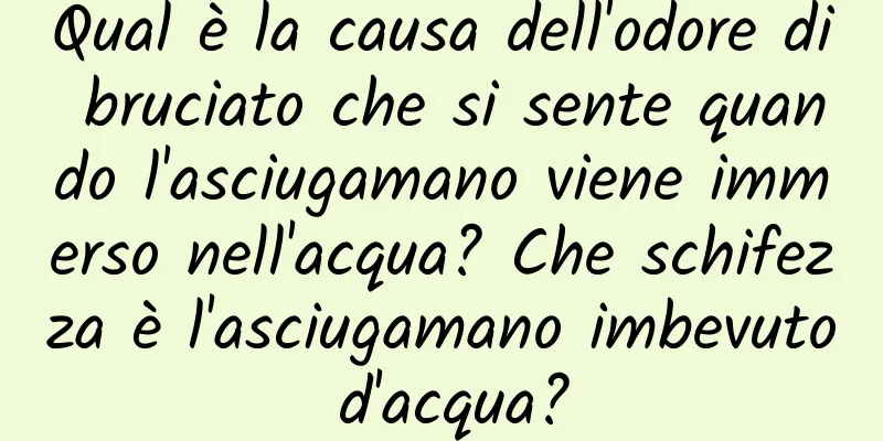 Qual è la causa dell'odore di bruciato che si sente quando l'asciugamano viene immerso nell'acqua? Che schifezza è l'asciugamano imbevuto d'acqua?