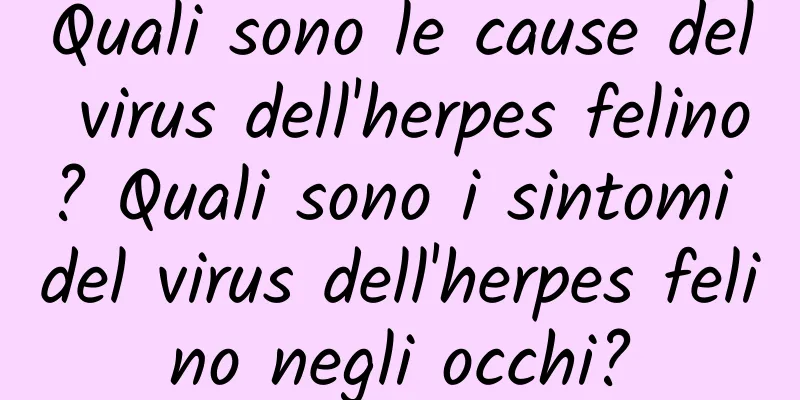 Quali sono le cause del virus dell'herpes felino? Quali sono i sintomi del virus dell'herpes felino negli occhi?