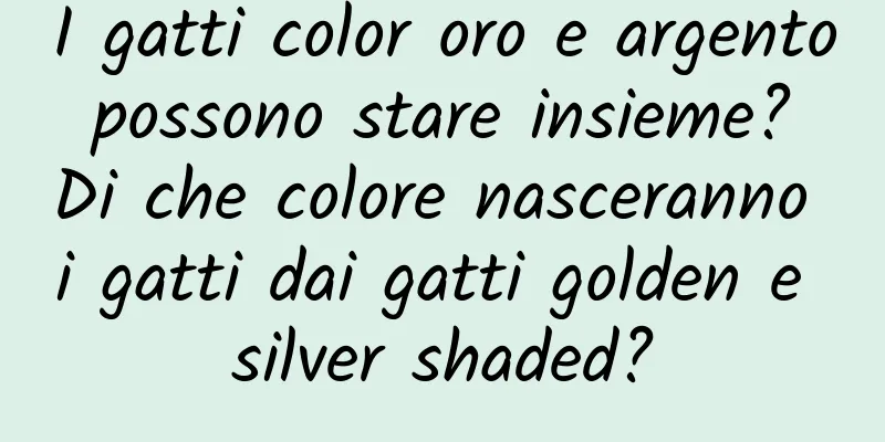 I gatti color oro e argento possono stare insieme? Di che colore nasceranno i gatti dai gatti golden e silver shaded?