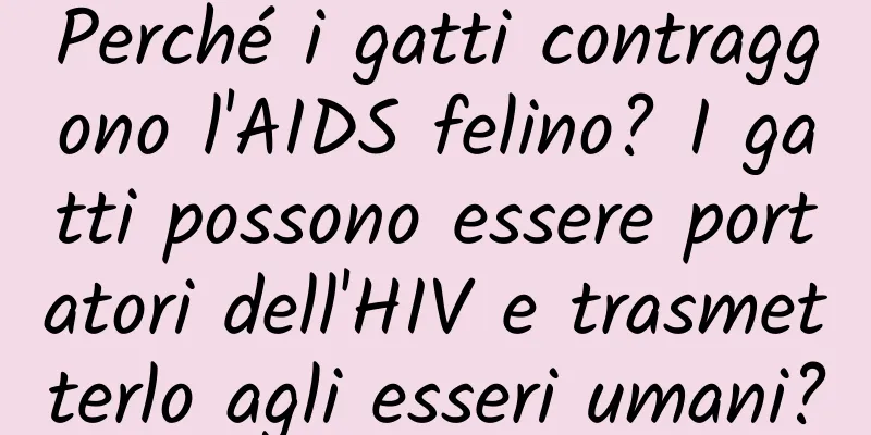 Perché i gatti contraggono l'AIDS felino? I gatti possono essere portatori dell'HIV e trasmetterlo agli esseri umani?