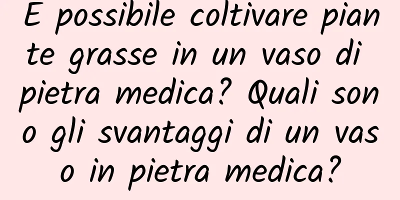 È possibile coltivare piante grasse in un vaso di pietra medica? Quali sono gli svantaggi di un vaso in pietra medica?