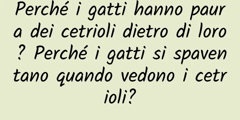 Perché i gatti hanno paura dei cetrioli dietro di loro? Perché i gatti si spaventano quando vedono i cetrioli?