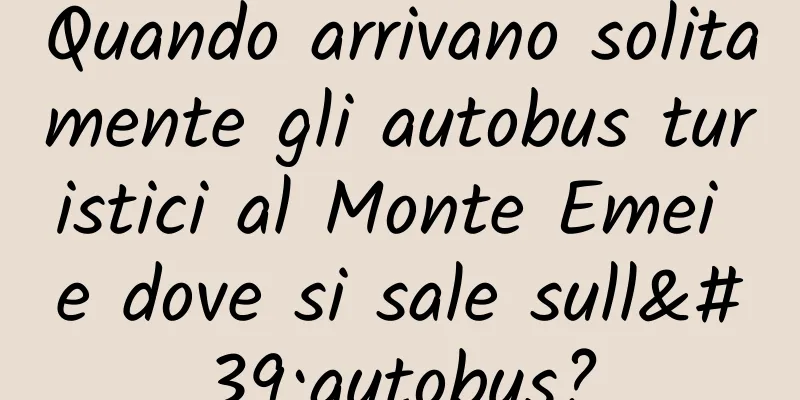 Quando arrivano solitamente gli autobus turistici al Monte Emei e dove si sale sull'autobus?