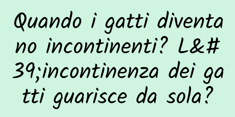 Quando i gatti diventano incontinenti? L'incontinenza dei gatti guarisce da sola?
