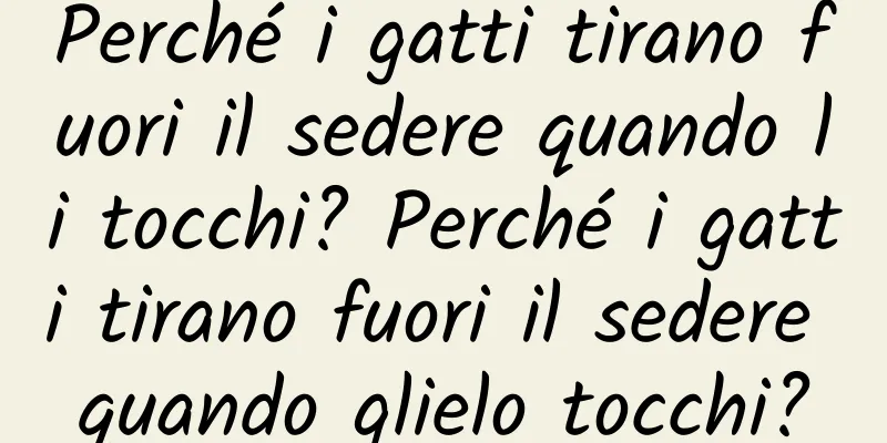 Perché i gatti tirano fuori il sedere quando li tocchi? Perché i gatti tirano fuori il sedere quando glielo tocchi?