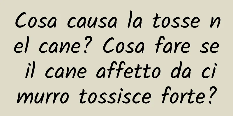 Cosa causa la tosse nel cane? Cosa fare se il cane affetto da cimurro tossisce forte?
