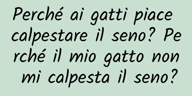 Perché ai gatti piace calpestare il seno? Perché il mio gatto non mi calpesta il seno?