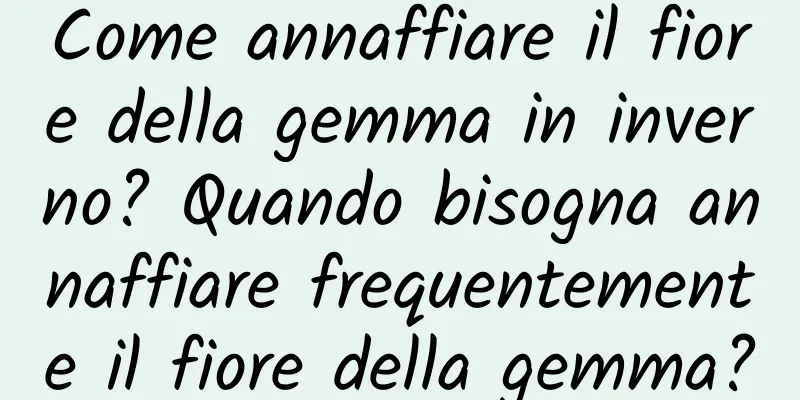 Come annaffiare il fiore della gemma in inverno? Quando bisogna annaffiare frequentemente il fiore della gemma?
