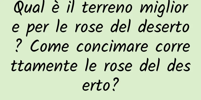 Qual è il terreno migliore per le rose del deserto? Come concimare correttamente le rose del deserto?