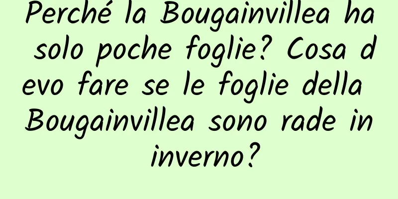 Perché la Bougainvillea ha solo poche foglie? Cosa devo fare se le foglie della Bougainvillea sono rade in inverno?
