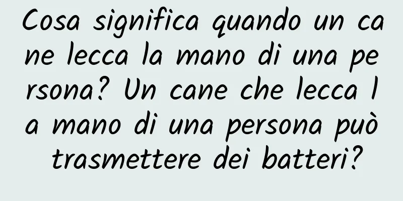 Cosa significa quando un cane lecca la mano di una persona? Un cane che lecca la mano di una persona può trasmettere dei batteri?