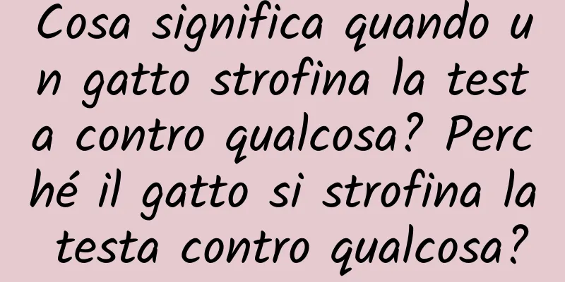 Cosa significa quando un gatto strofina la testa contro qualcosa? Perché il gatto si strofina la testa contro qualcosa?