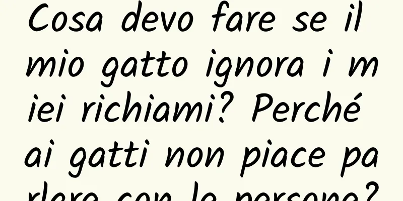 Cosa devo fare se il mio gatto ignora i miei richiami? Perché ai gatti non piace parlare con le persone?