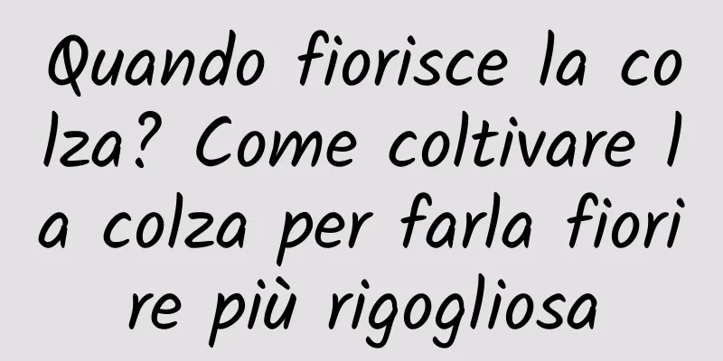 Quando fiorisce la colza? Come coltivare la colza per farla fiorire più rigogliosa