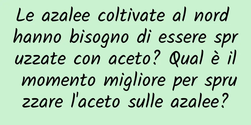 Le azalee coltivate al nord hanno bisogno di essere spruzzate con aceto? Qual è il momento migliore per spruzzare l'aceto sulle azalee?