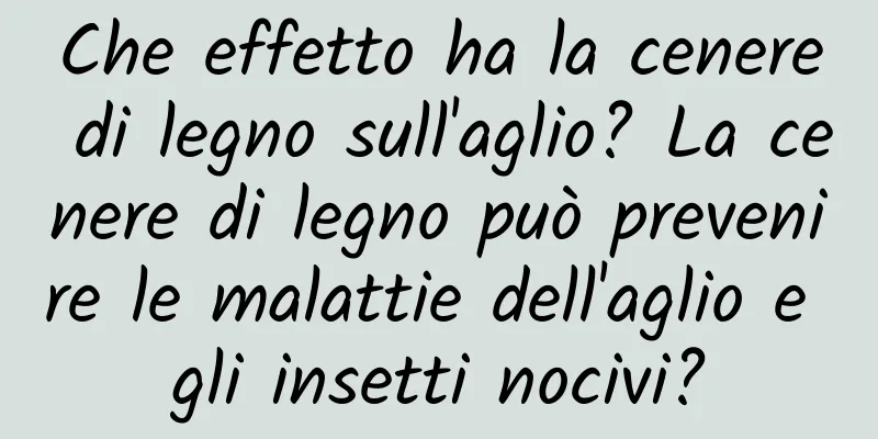 Che effetto ha la cenere di legno sull'aglio? La cenere di legno può prevenire le malattie dell'aglio e gli insetti nocivi?