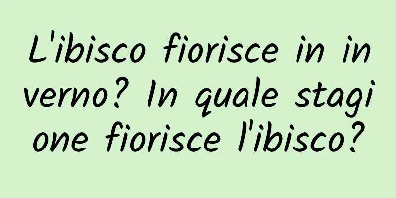L'ibisco fiorisce in inverno? In quale stagione fiorisce l'ibisco?