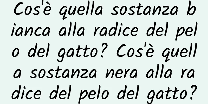Cos'è quella sostanza bianca alla radice del pelo del gatto? Cos'è quella sostanza nera alla radice del pelo del gatto?