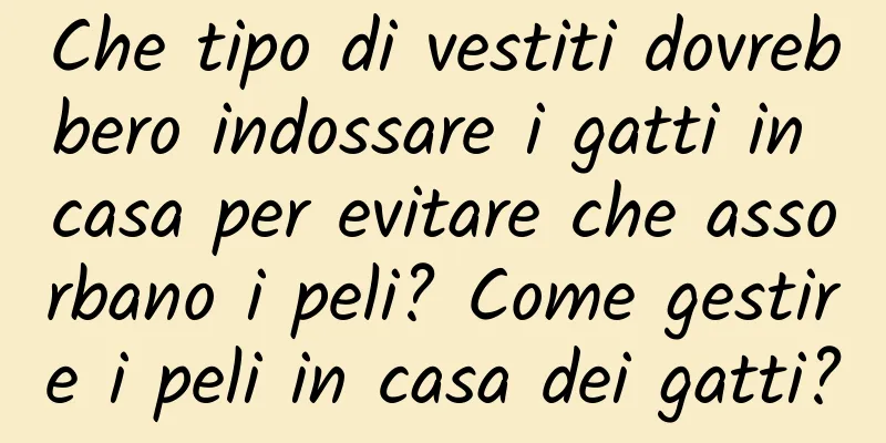 Che tipo di vestiti dovrebbero indossare i gatti in casa per evitare che assorbano i peli? Come gestire i peli in casa dei gatti?