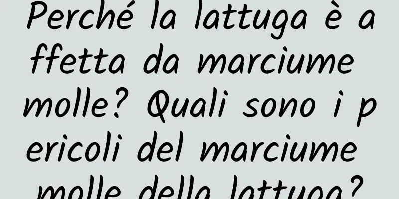 Perché la lattuga è affetta da marciume molle? Quali sono i pericoli del marciume molle della lattuga?