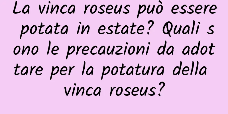 La vinca roseus può essere potata in estate? Quali sono le precauzioni da adottare per la potatura della vinca roseus?