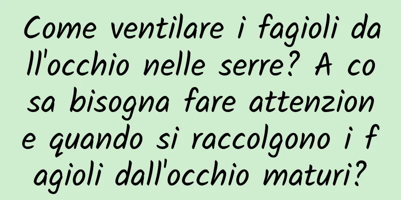 Come ventilare i fagioli dall'occhio nelle serre? A cosa bisogna fare attenzione quando si raccolgono i fagioli dall'occhio maturi?