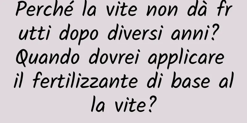 Perché la vite non dà frutti dopo diversi anni? Quando dovrei applicare il fertilizzante di base alla vite?