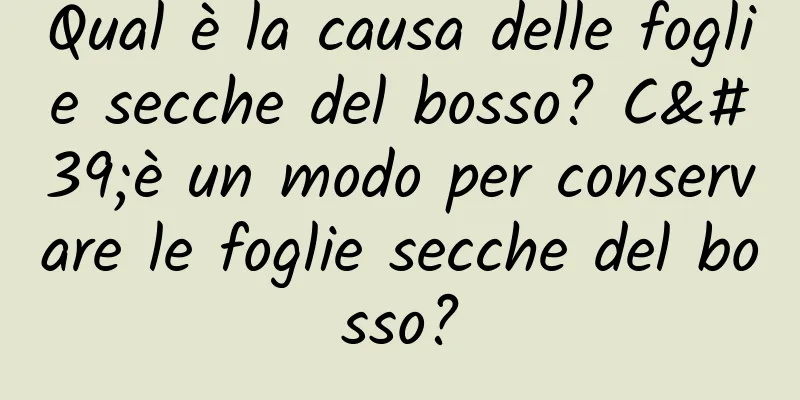 Qual è la causa delle foglie secche del bosso? C'è un modo per conservare le foglie secche del bosso?