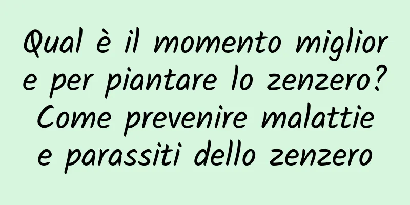 Qual è il momento migliore per piantare lo zenzero? Come prevenire malattie e parassiti dello zenzero
