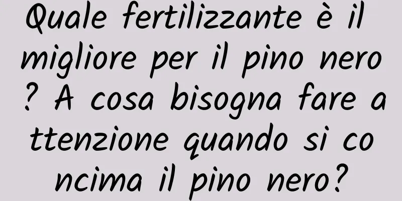 Quale fertilizzante è il migliore per il pino nero? A cosa bisogna fare attenzione quando si concima il pino nero?