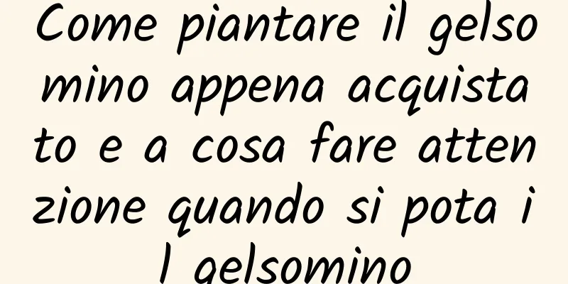 Come piantare il gelsomino appena acquistato e a cosa fare attenzione quando si pota il gelsomino
