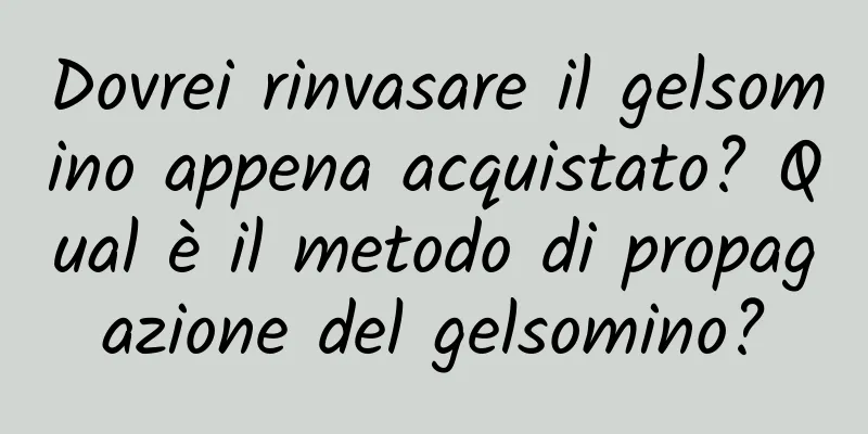 Dovrei rinvasare il gelsomino appena acquistato? Qual è il metodo di propagazione del gelsomino?