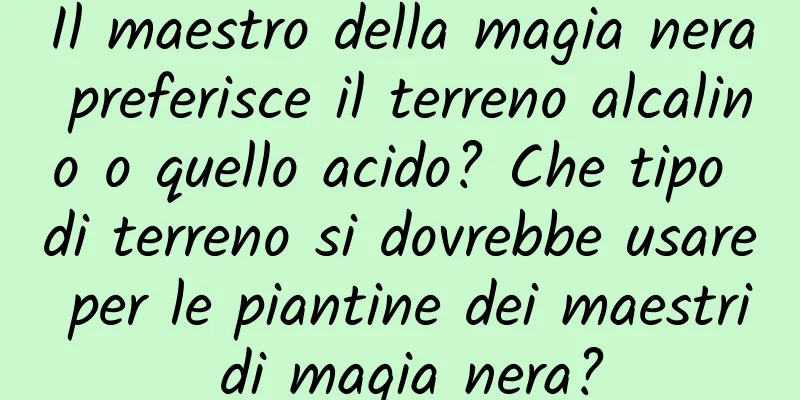 Il maestro della magia nera preferisce il terreno alcalino o quello acido? Che tipo di terreno si dovrebbe usare per le piantine dei maestri di magia nera?