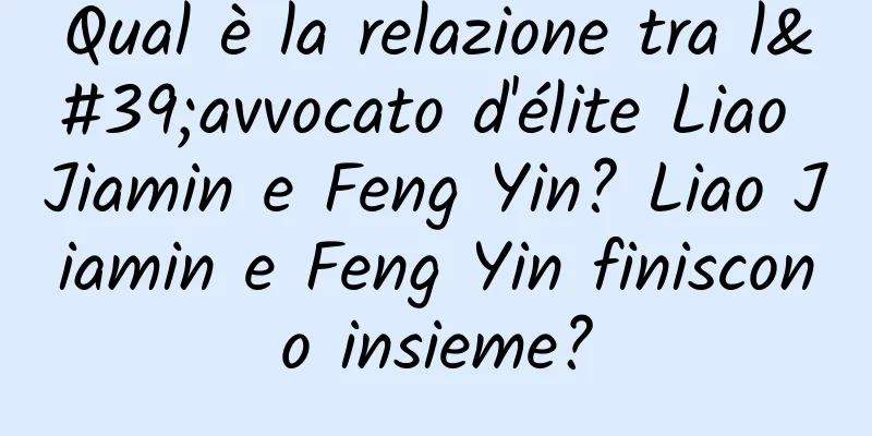 Qual è la relazione tra l'avvocato d'élite Liao Jiamin e Feng Yin? Liao Jiamin e Feng Yin finiscono insieme?