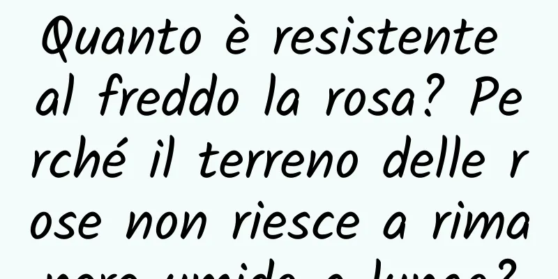 Quanto è resistente al freddo la rosa? Perché il terreno delle rose non riesce a rimanere umido a lungo?