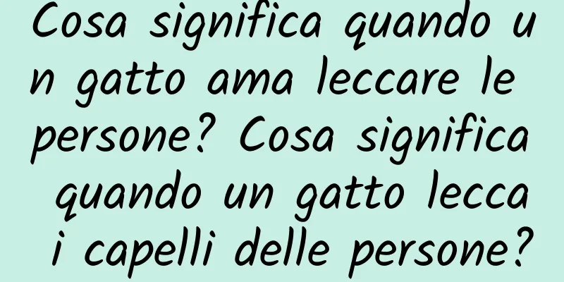 Cosa significa quando un gatto ama leccare le persone? Cosa significa quando un gatto lecca i capelli delle persone?