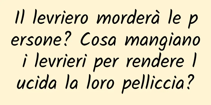Il levriero morderà le persone? Cosa mangiano i levrieri per rendere lucida la loro pelliccia?